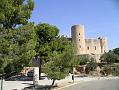 Palma 7